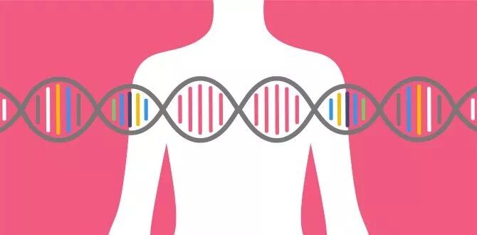 600港币能预测将来得乳腺癌、卵巢癌的风险？它是怎么做到的