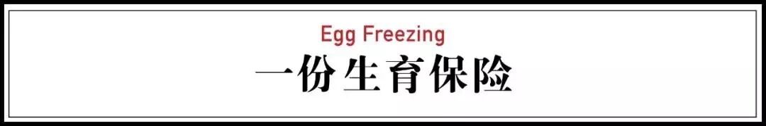 冻卵,香港冻卵