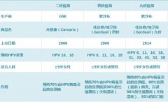 人乳頭狀瘤病毒（HPV）與宮頸癌