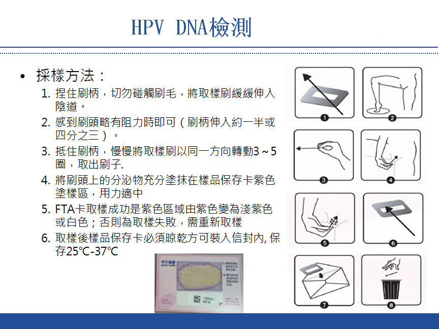 HPV- DNA分型检测