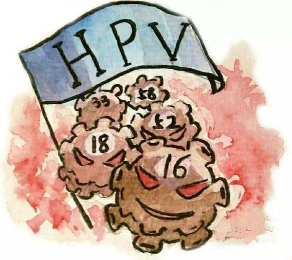 HPV